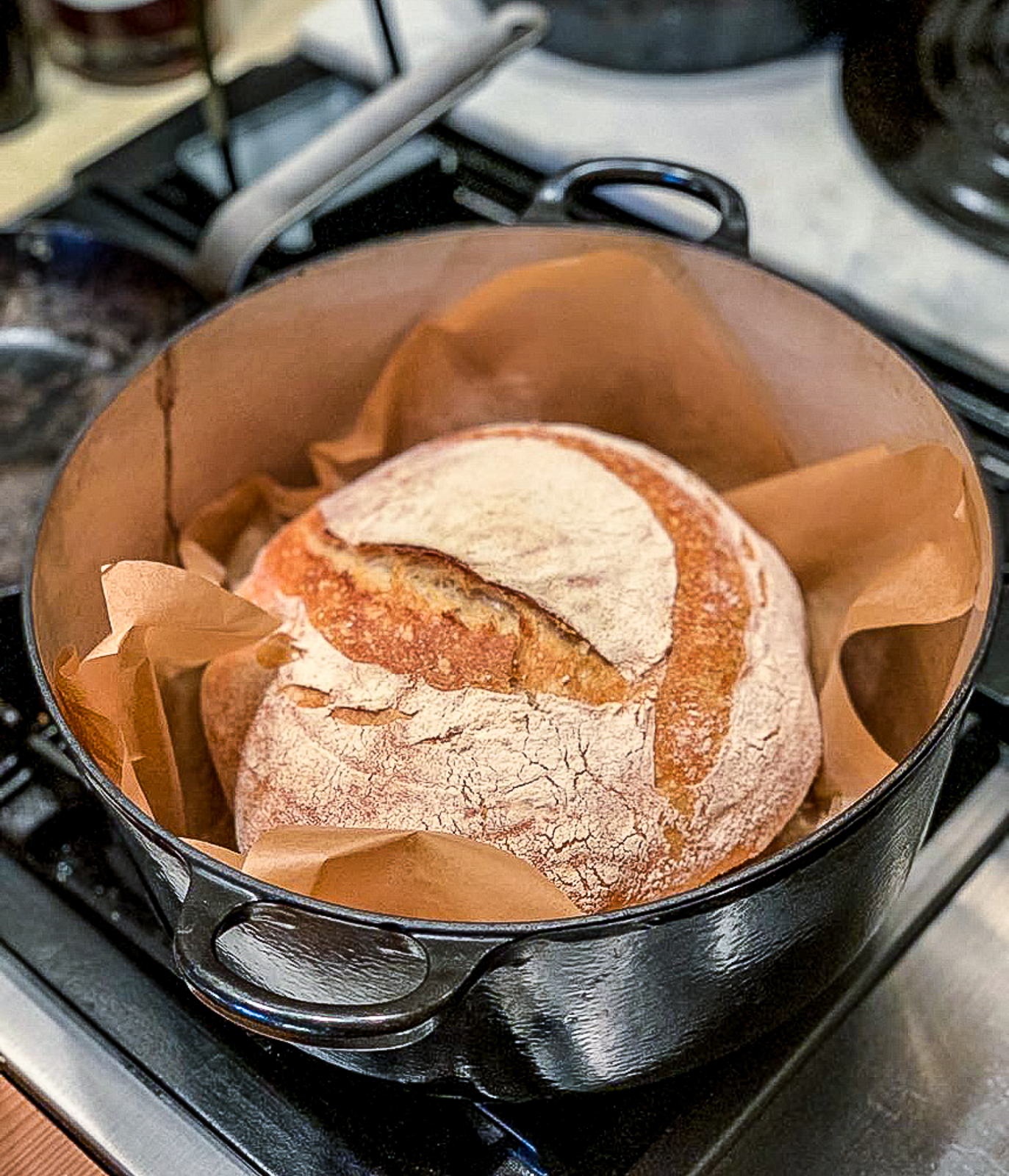 sourdough-for-beginners-shecooks-design