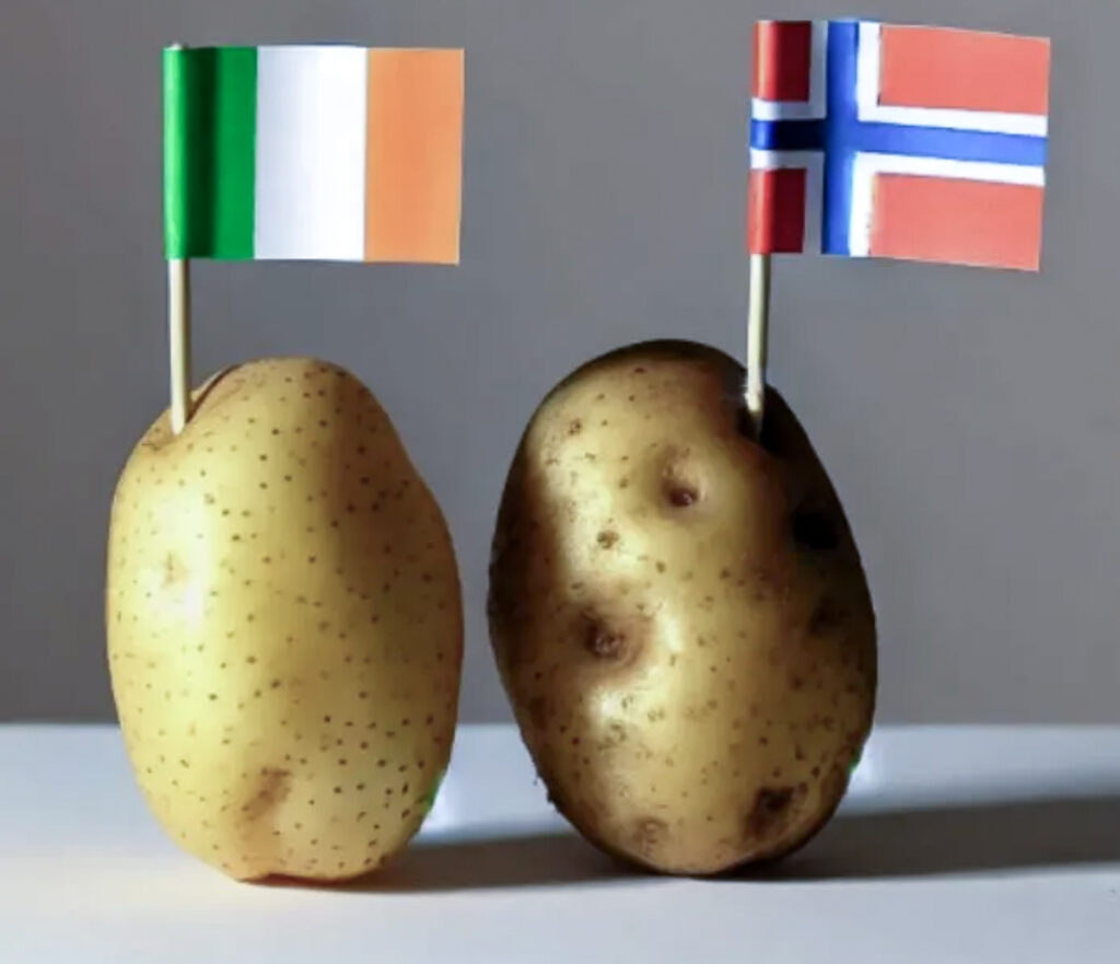 potatoes with flags of ireland and norway in them